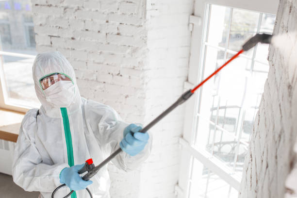 Best Mold Removal for HVAC Installations  in Claremont, NH