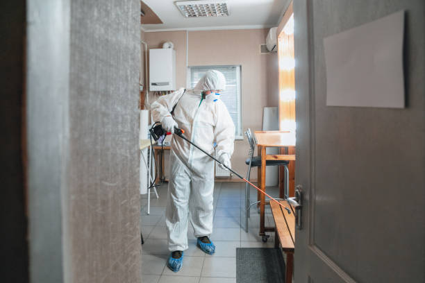 Best Residential Mold Inspection & Testing  in Claremont, NH