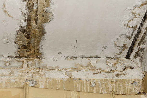 Best Indoor Air Quality Assessment  in Claremont, NH