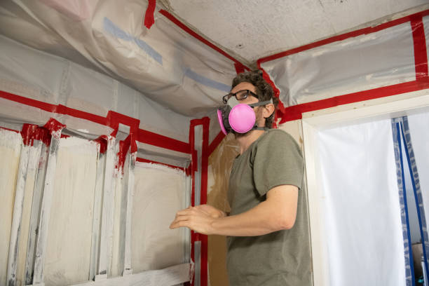 Best Mold-Related Health Consultation  in Claremont, NH