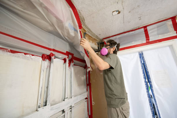 Best Mold Odor Removal Services  in Claremont, NH