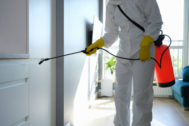 Best Commercial Mold Inspection  in Claremont, NH