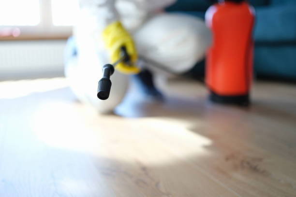 Best Airborne Mold Testing  in Claremont, NH