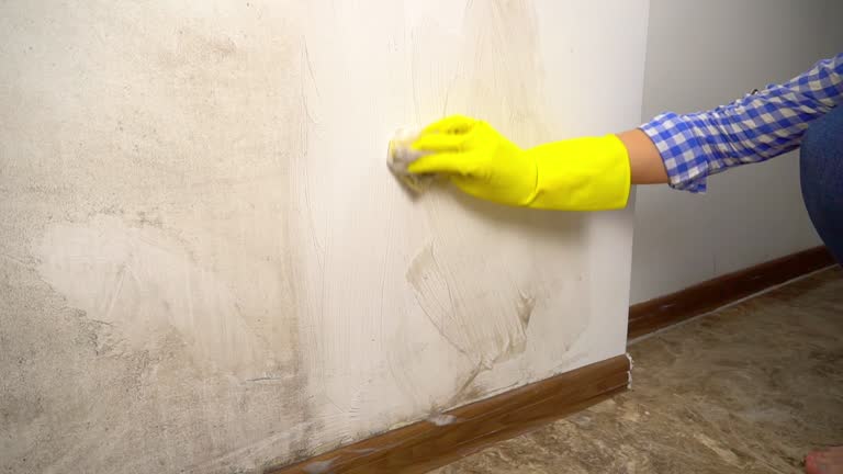 Best Air Quality Testing for Mold Spores  in Claremont, NH