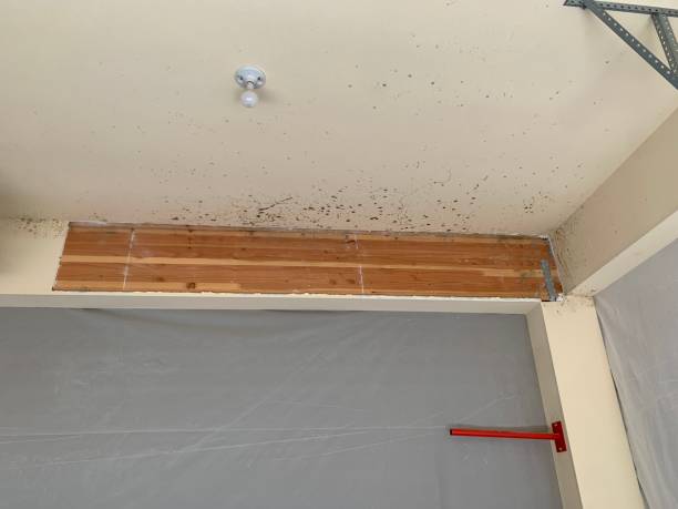 Best Post-Remediation Verification Testing  in Claremont, NH